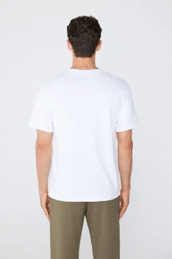 Crew-Neck 100$ Cotton T-Shirt - T-Shirts - Men | Tezenis