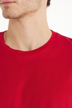 Long Sleeve Cotton Crew Neck Top - Long-Sleeved Tops - Men | Tezenis