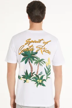 Printed Cotton T-Shirt - T-Shirts - Men | Tezenis
