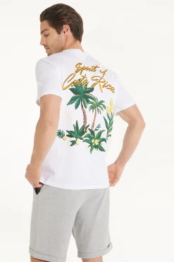 Printed Cotton T-Shirt - T-Shirts - Men | Tezenis