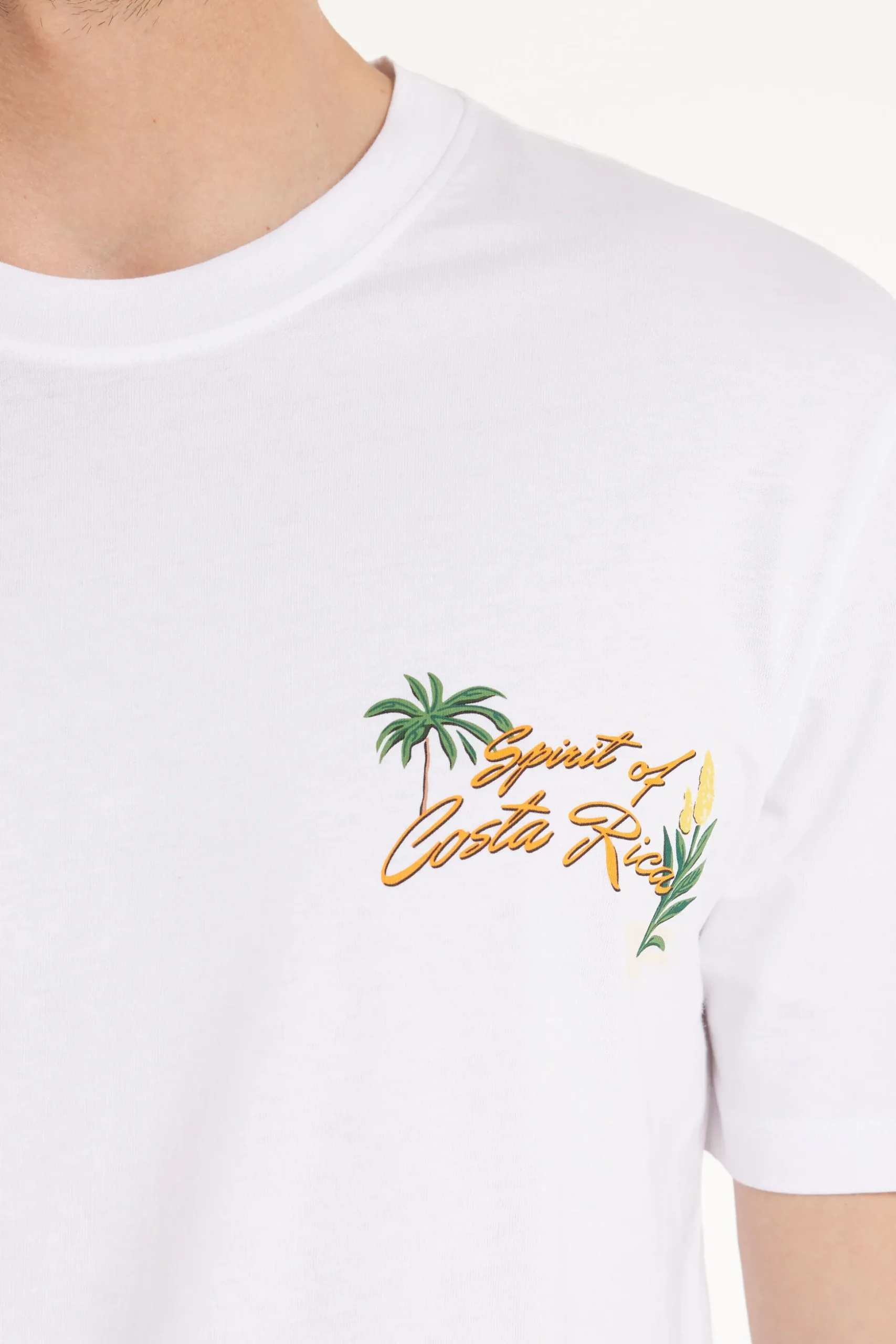 Printed Cotton T-Shirt - T-Shirts - Men | Tezenis